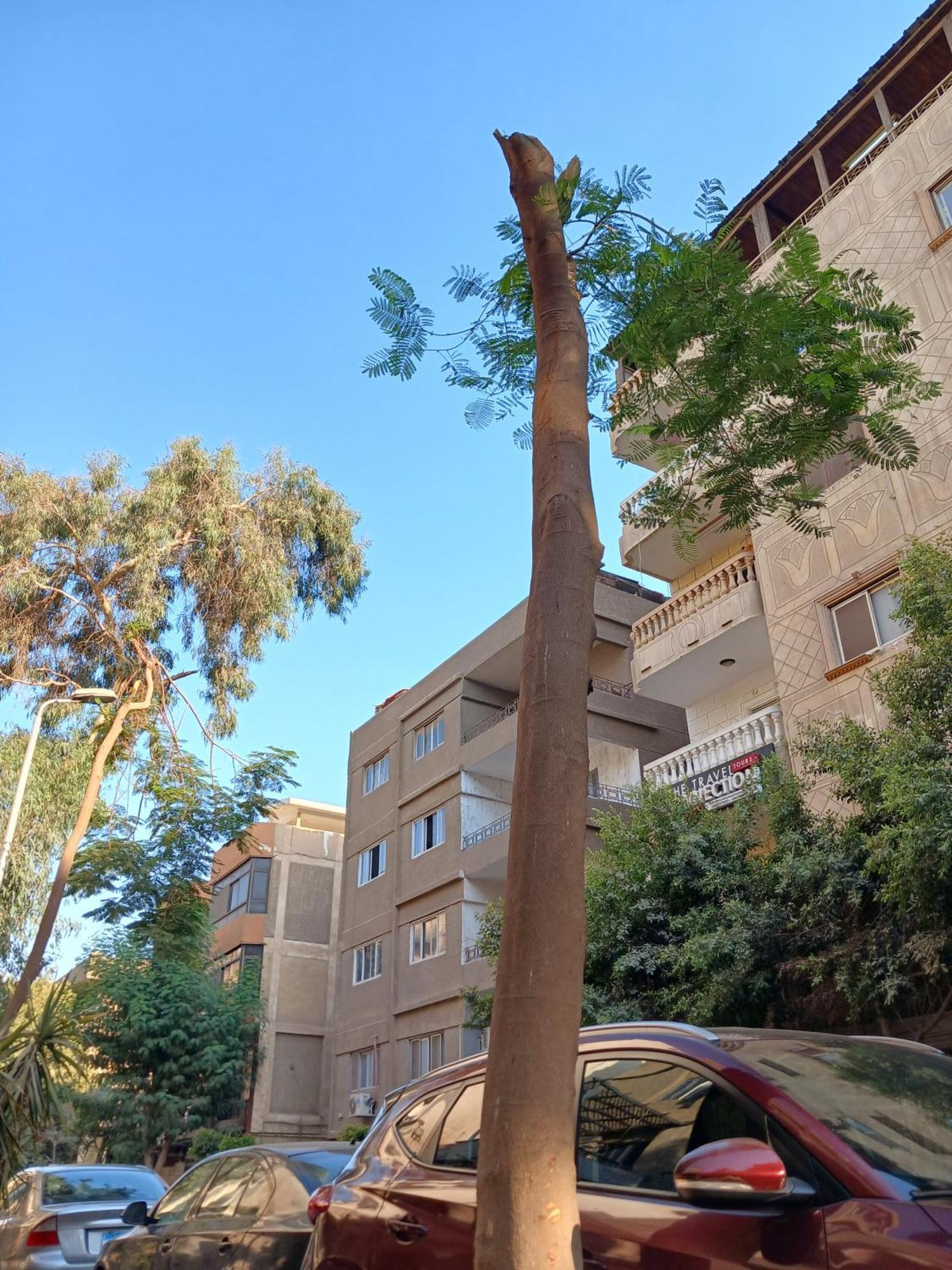 Pyramids Way Inn Kafret el-Gabal Exterior foto